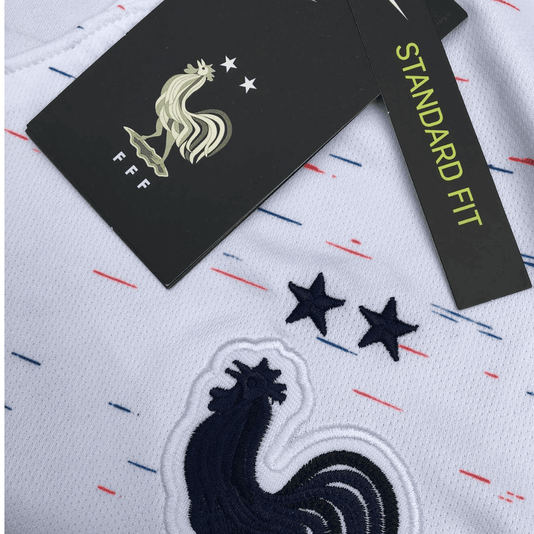 france stussy shirt